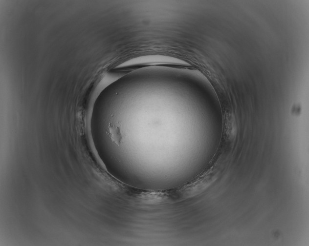 X0000096970378200802151313