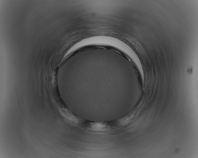X0000096970380200802151314