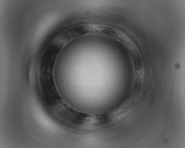 X0000096970381200802151314
