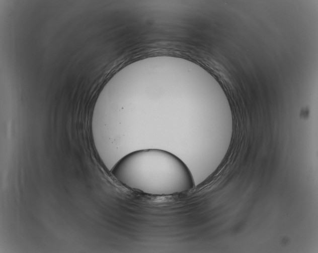 X0000096970382200802151314