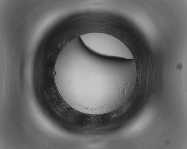 X0000096970383200802151314