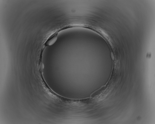 X0000096970385200802151313