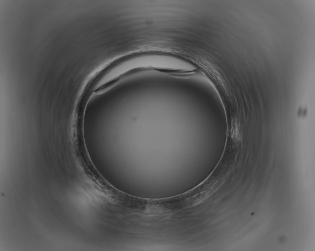 X0000096970388200802151313