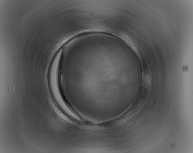 X0000096970389200802151313