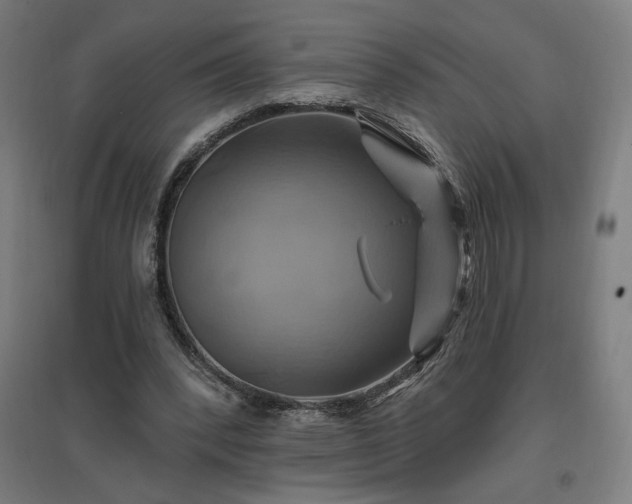 X0000096970392200802151313
