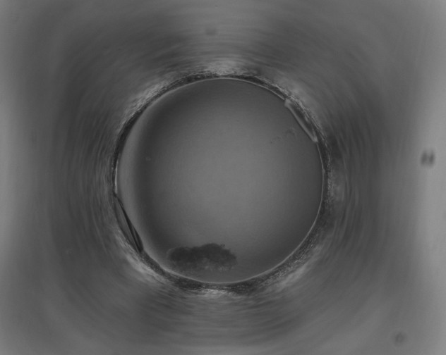 X0000096970393200802151313
