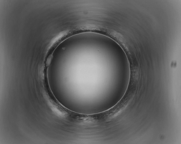 X0000096970395200802151313
