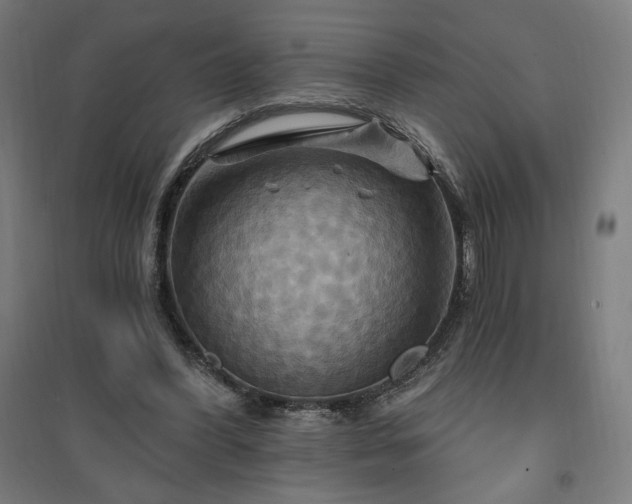 X0000096970396200802151313