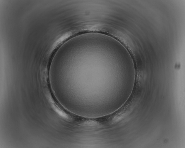 X0000096970397200802151313