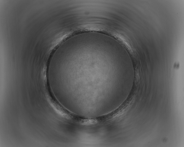 X0000096970398200802151313