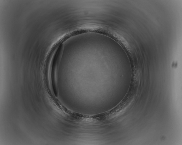X0000096970399200802151313