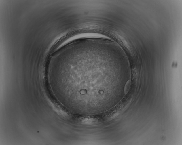 X0000096970400200802151313