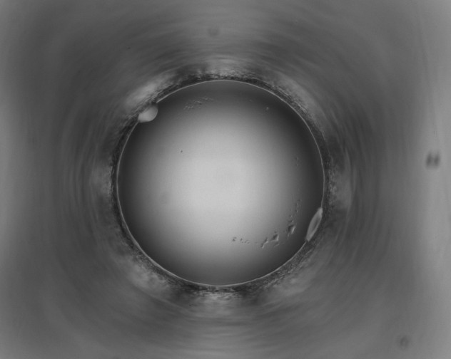 X0000096970401200802151313