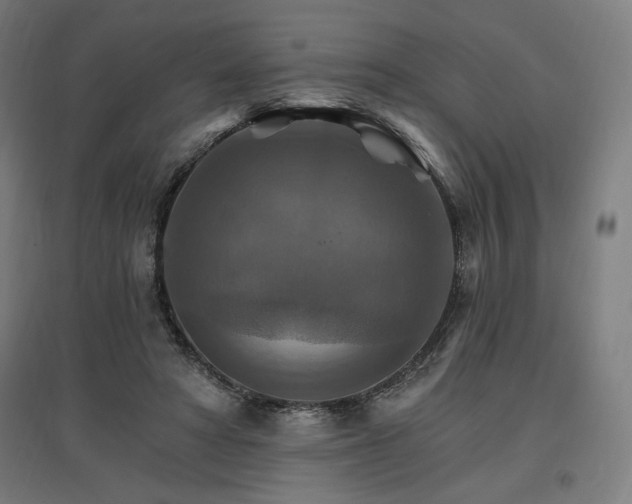 X0000096970402200802151313