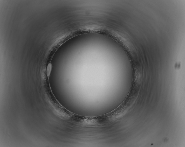 X0000096970403200802151313