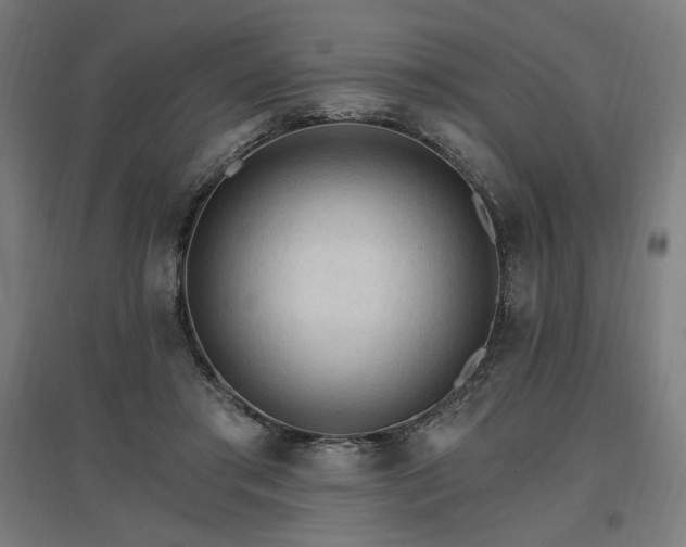 X0000096970405200802151313