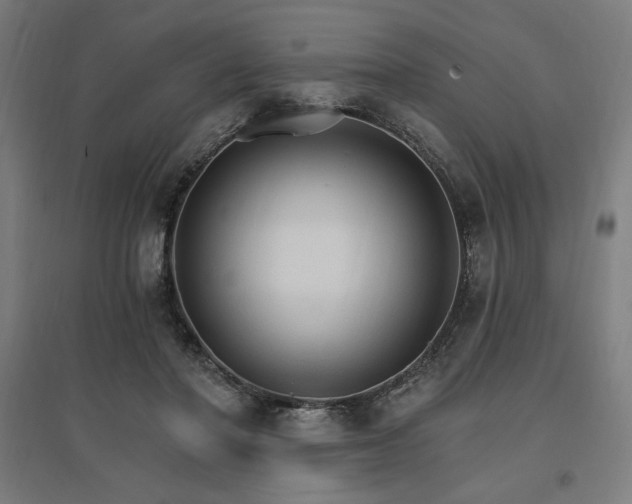X0000096970406200802151313