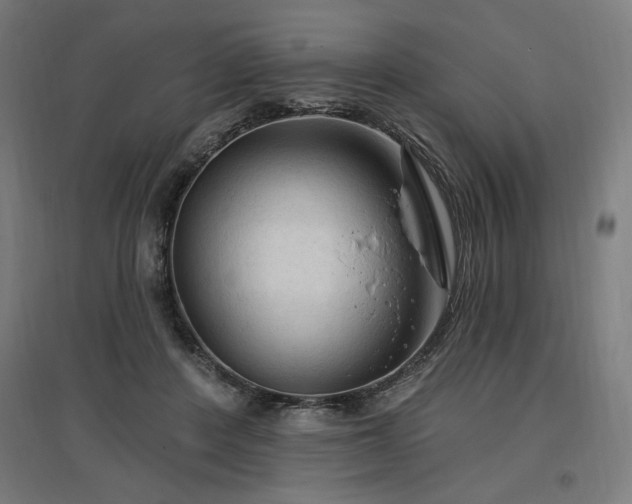 X0000096970408200802151313