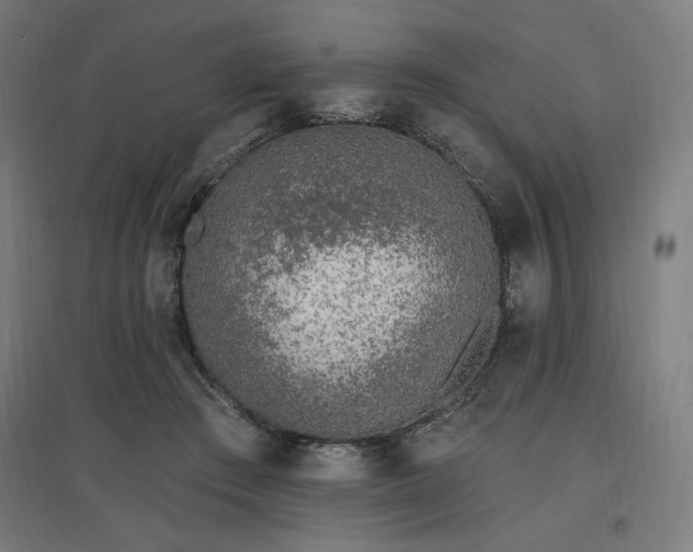 X0000096970409200802151313