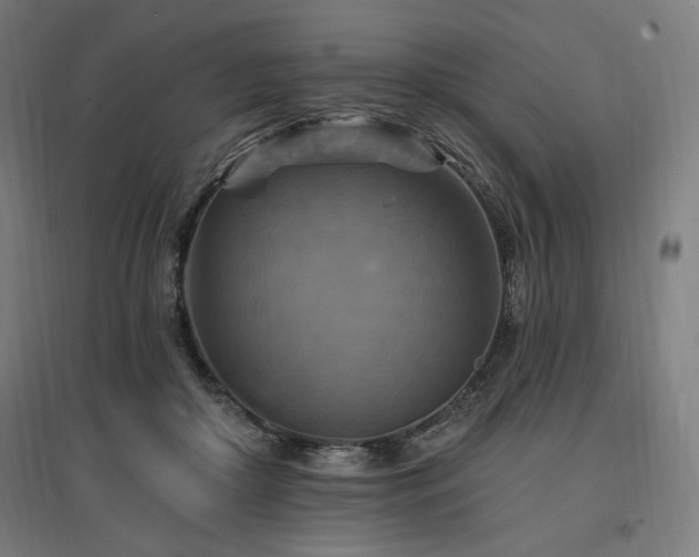 X0000096970410200802151313