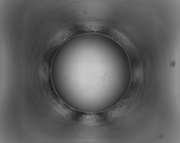X0000096970414200802151312