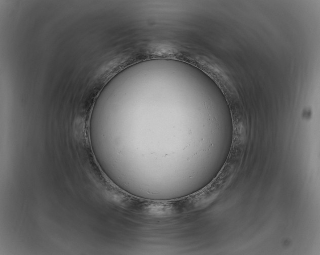 X0000096970415200802151312
