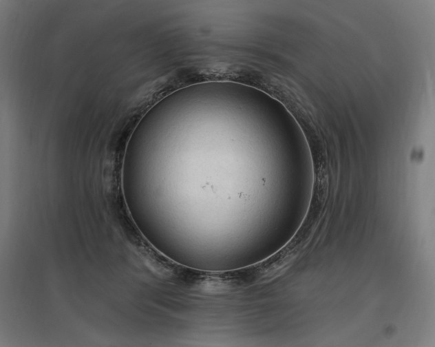 X0000096970416200802151312