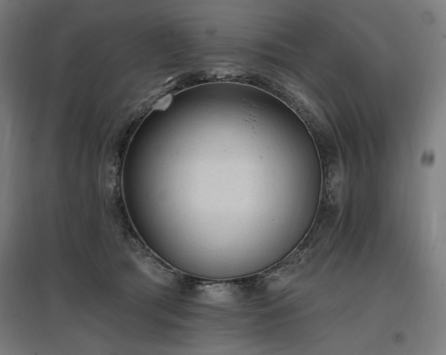 X0000096970417200802151312