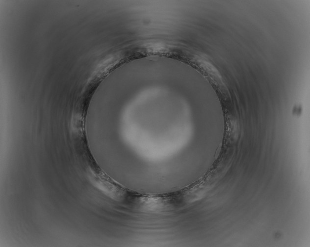 X0000096970419200802151312