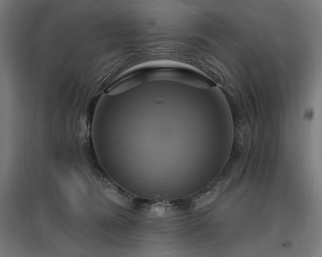 X0000096970420200802151312