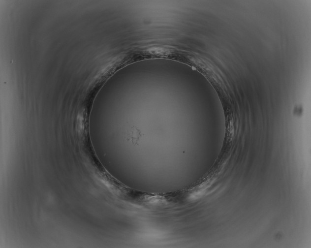 X0000096970424200802151312