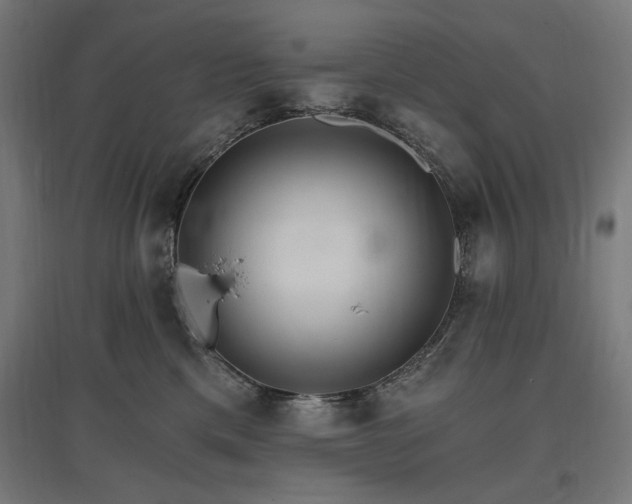 X0000096970425200802151312