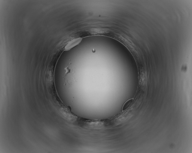 X0000096970426200802151312