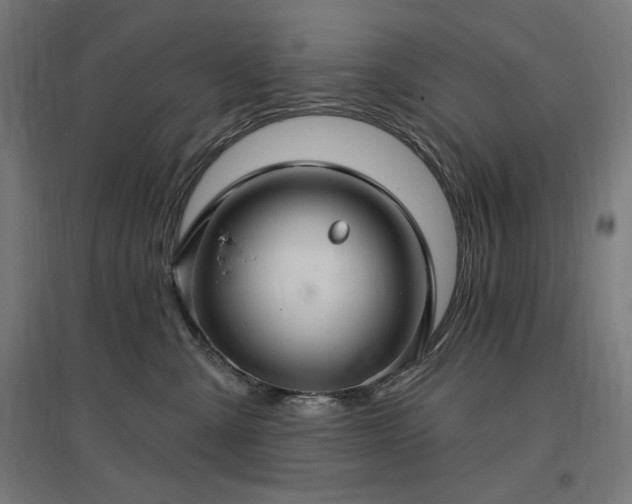 X0000096970427200802151312