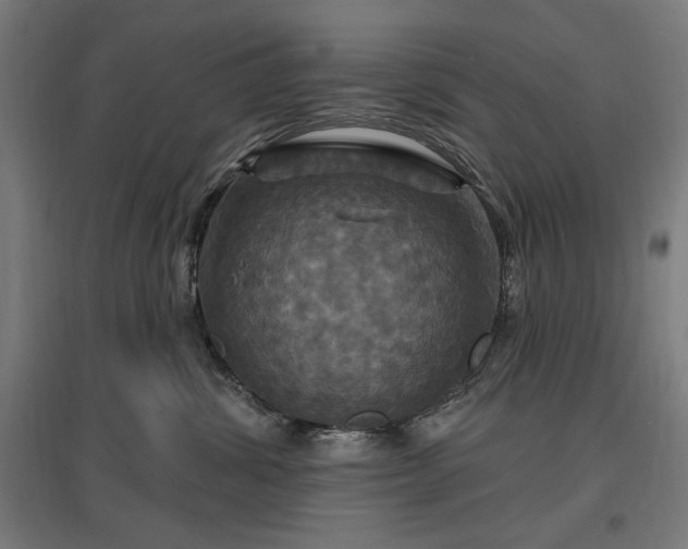 X0000096970428200802151312