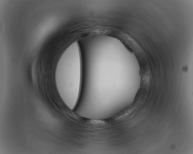 X0000096970429200802151312
