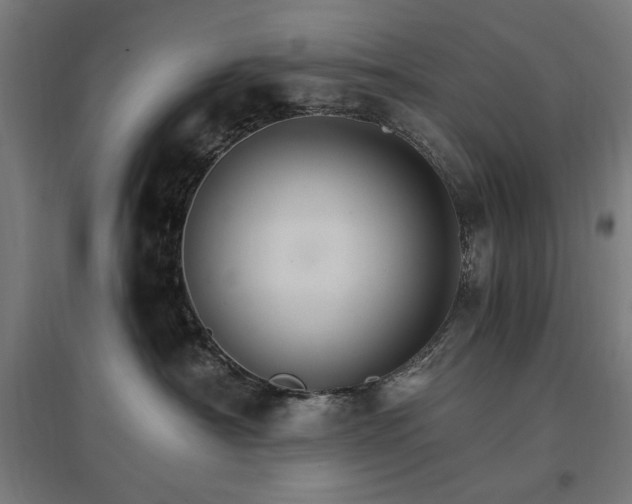X0000096970430200802151312