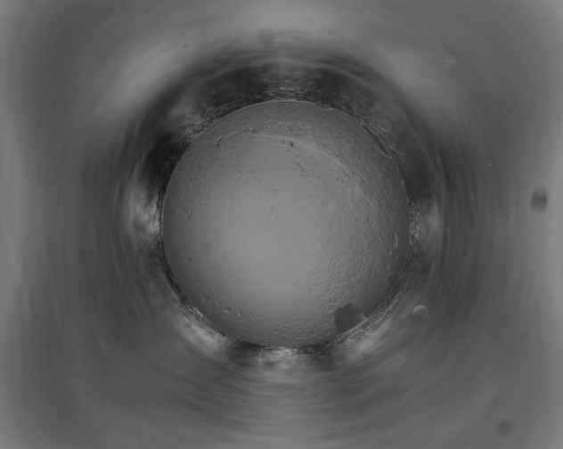 X0000096970431200802151312