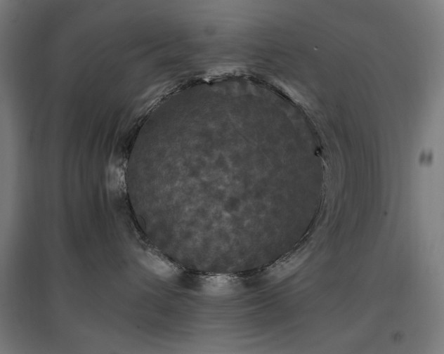 X0000096970432200802151312