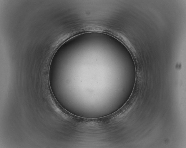 X0000096970433200802151312
