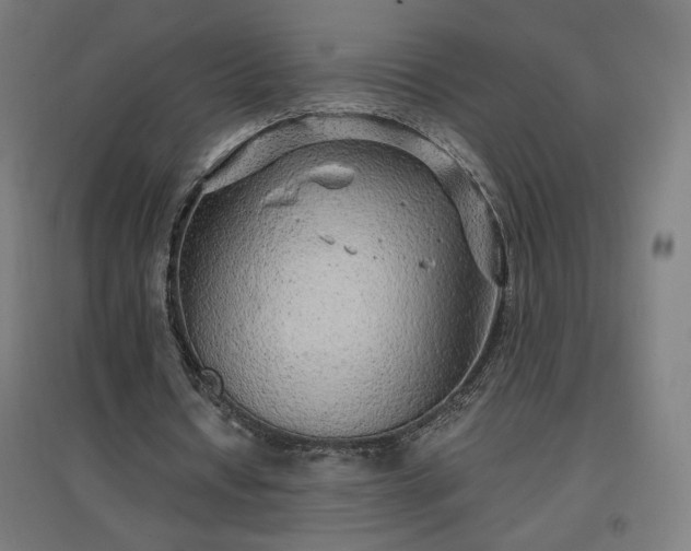 X0000096970434200802151312