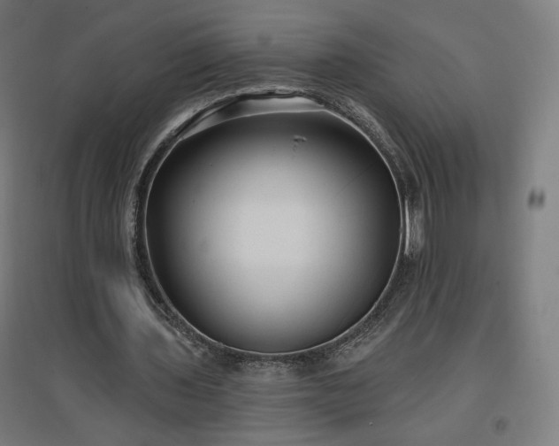 X0000096970435200802151312