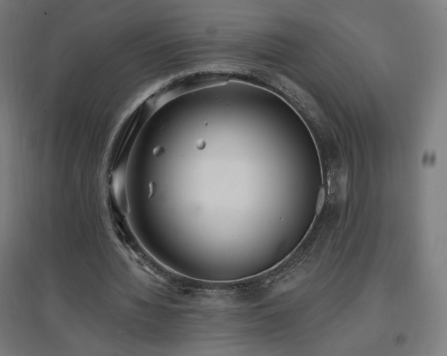X0000096970436200802151312