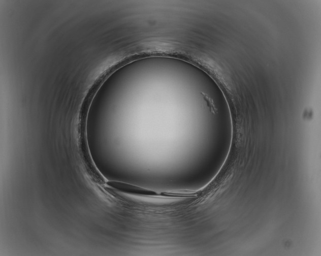 X0000096970439200802151312