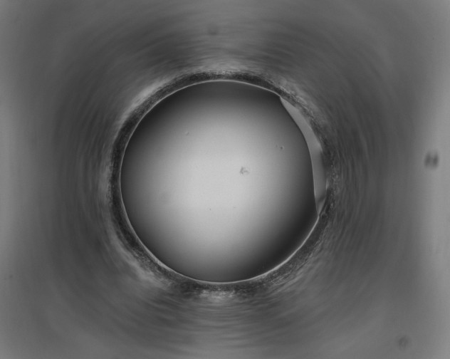 X0000096970440200802151312