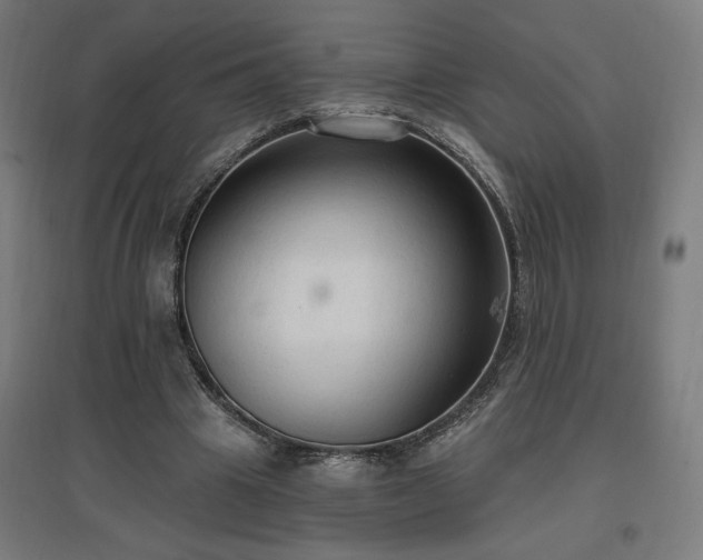 X0000096970441200802151312