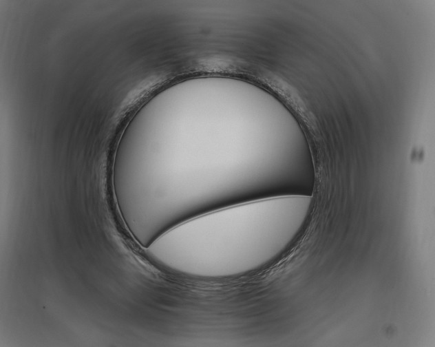 X0000096970442200802151312
