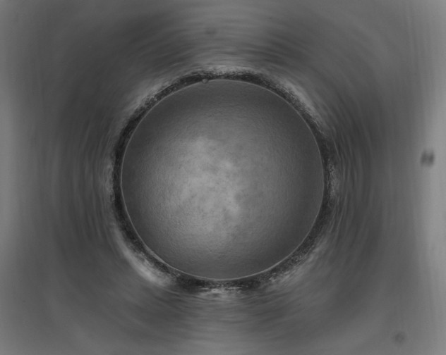X0000096970447200802151312