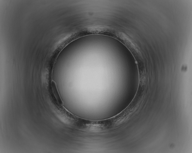 X0000096970448200802151312