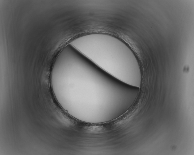 X0000096970449200802151312